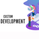 Custom Web Development