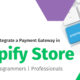 Integrating Payments in Shopify