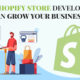 Robust Shopify Development